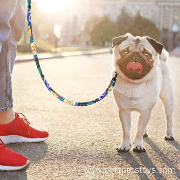 Dots cloth nylon pet leash dog harness